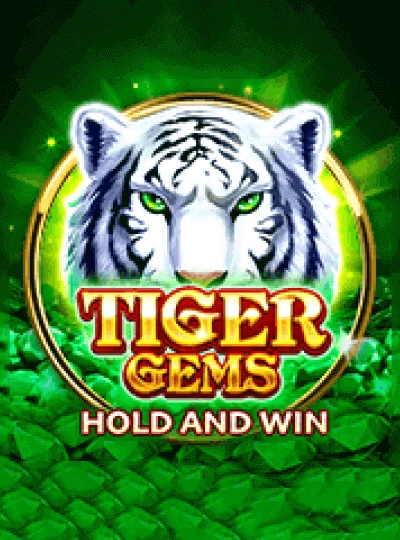 mmr113